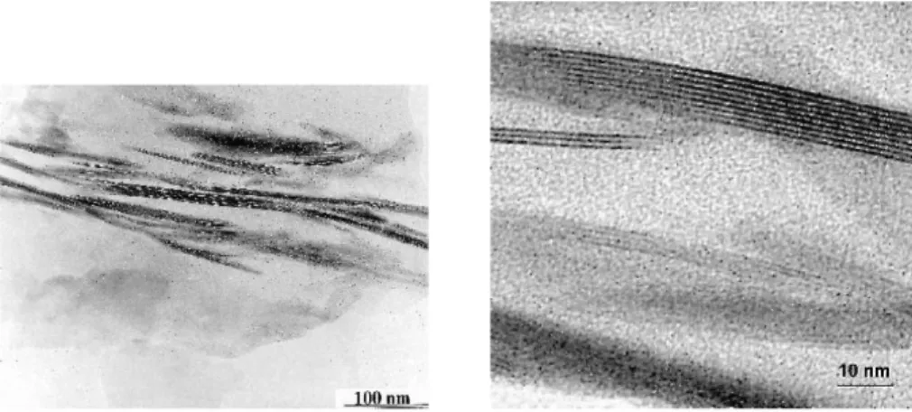 Figure 7: Image par microscope électronique à transmission de cristallites de C-S-H de synthèse (croissance de  tobermorite  en  milieu  dilué)