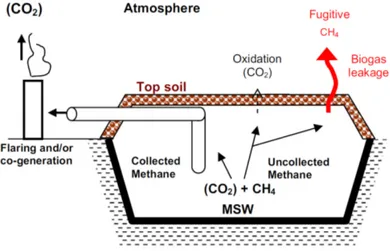 Figure  2-1: Fate of methane in a landfill cell, adapted from Staub et al. [2011]  
