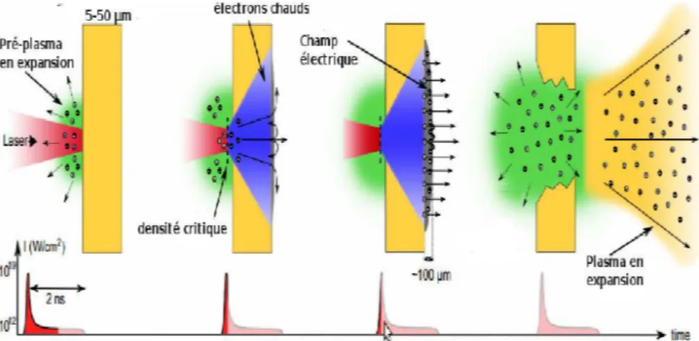 FIGURE 2.1 – Schéma de l’accélération des ions par interaction laser-matière grâce au mécanisme du Target Normal Sheath Acceleration (TNSA)