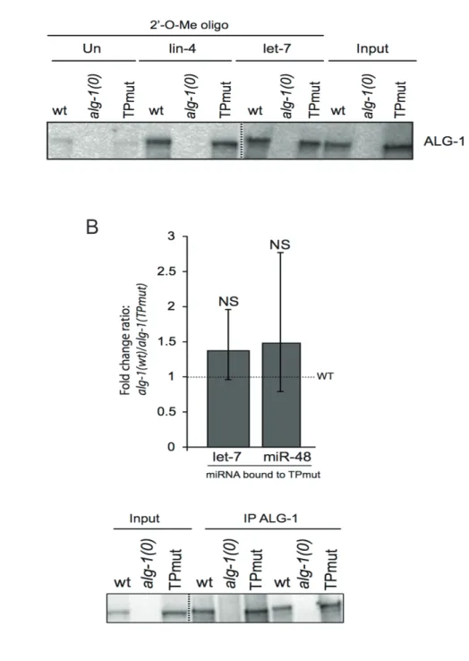 Figure 1.5 Levels of microRNA associated to ALG-1(TPmut) 