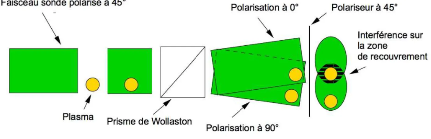 Figure 5.5 Principe de l’interf´erom´etrie en utilisant le prisme de Wollaston.
