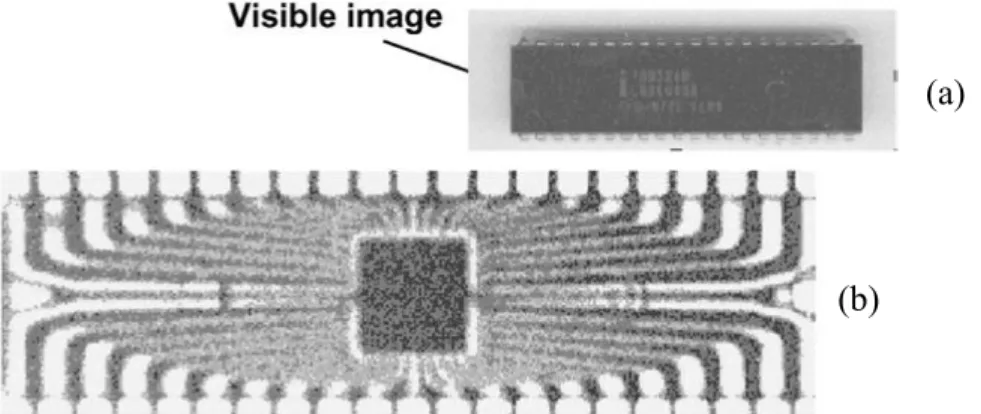 Figure 1-1 Image of an IC using (a) visible light and (b) with THz imaging. The IC black  epoxy package [4]