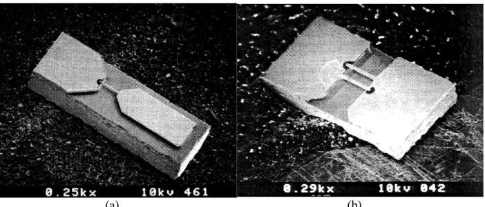 Figure 2-7 The Planar Schottky diode which presented by the Crowe team in 1991 [31].  