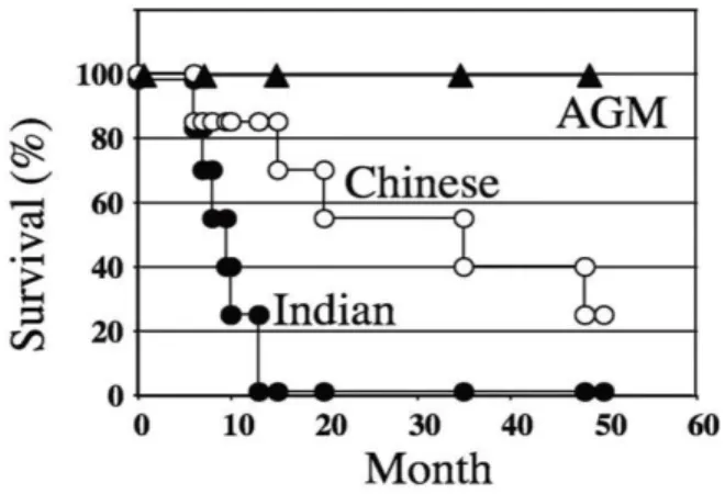 Figure  2.  Susceptibilité  des  macaques  à  l’infection par le VIS. Cumont M.-C., 2008