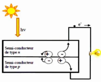 Figure  1.6  hv ~rm~on c teur de type Il  ~~onducteur de typep 