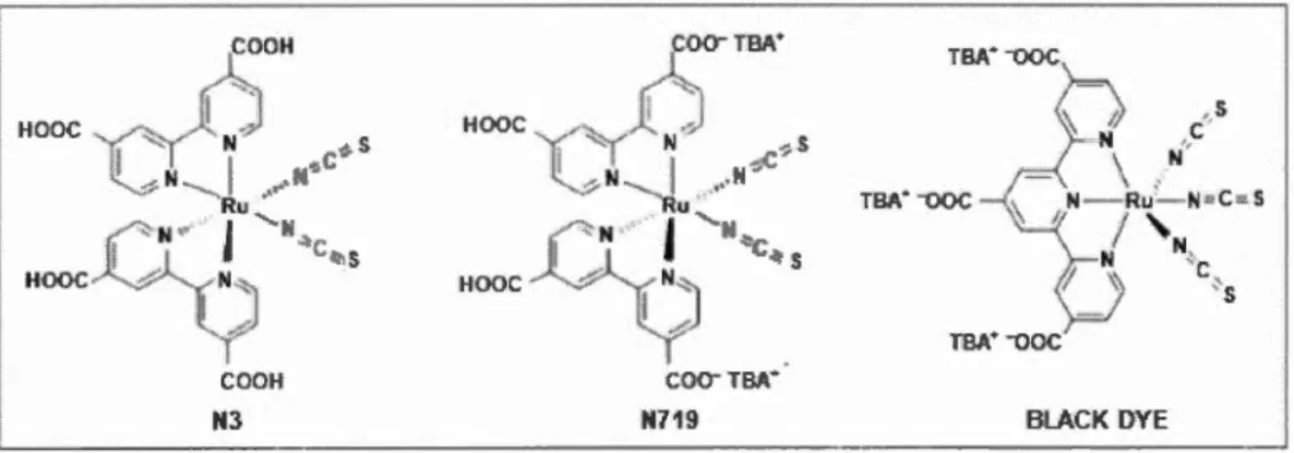 Figure 1.10  Complexes de  ruthéniwn  couranunent utilisés conune colorant dans 