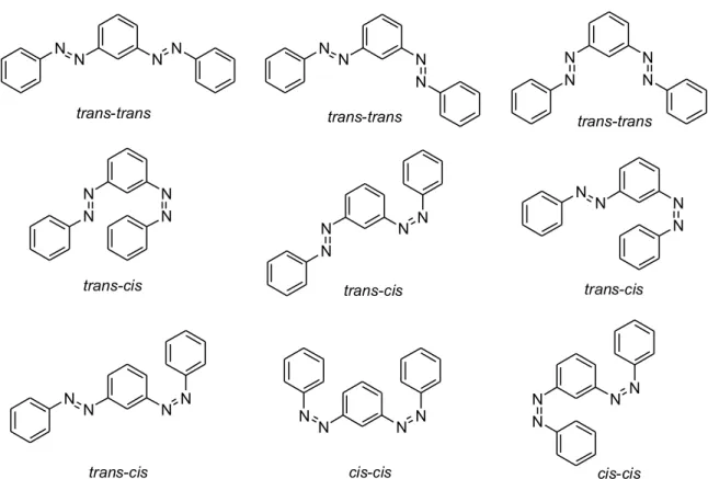 Figure 20. Nine conformational possibilities for the simple meta-bis-azobenzene, 93 