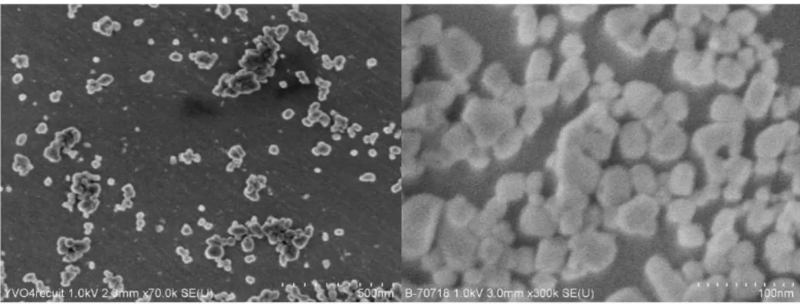 Figure 2.27: Clichés de microscopie électronique à balayage des nanoparticules  après traitement thermique à 1000°C et dispersion dans l’eau