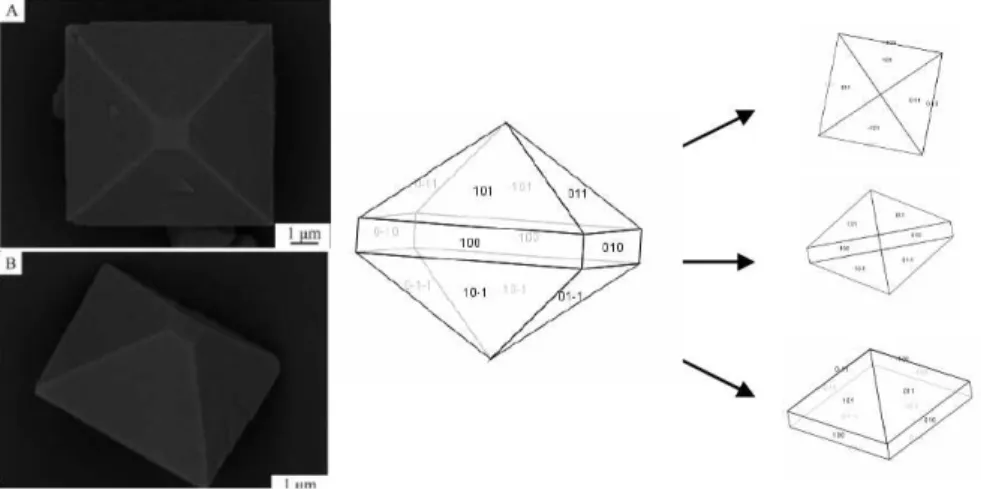 Figure 2.31: Clichés MEB de cristaux micrométriques YVO 4  préparés selon une 