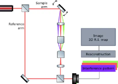 Figure 1.4 – Optical diffraction tomography principle. The laser beam is separated into two arms by the beamsplitter shown in the top left