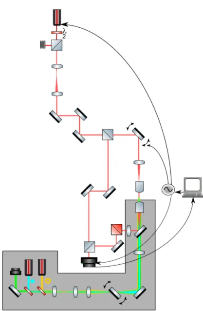 Figure 2.12 – Plan of the multimodal imaging system. ODT optical path is shown in pink while STED excitation, depletion and fluorescence are shown in blue, orange and green respectively