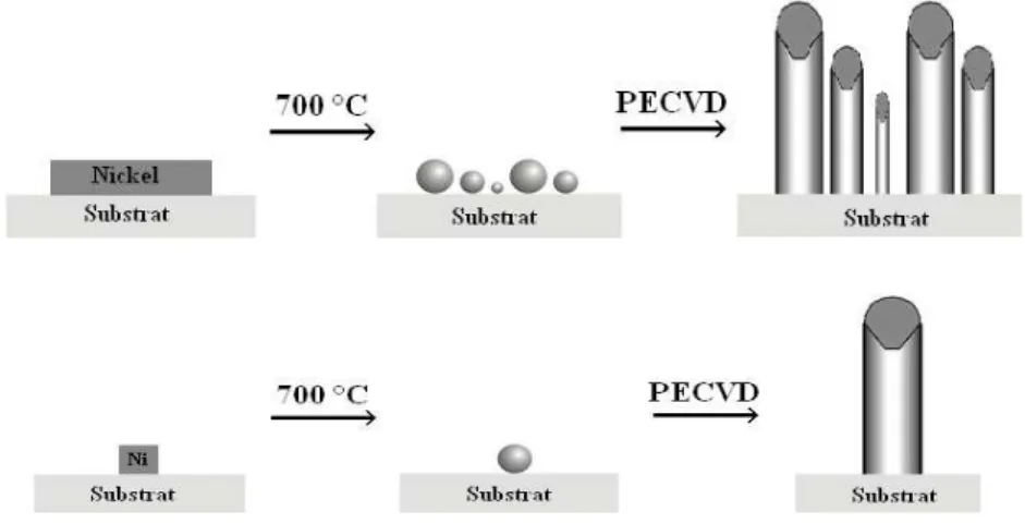 Figure 1.15: Schémas illustrant la croissance multiple (en haut) et la croissance unique (en bas) de   nanotubes de carbone