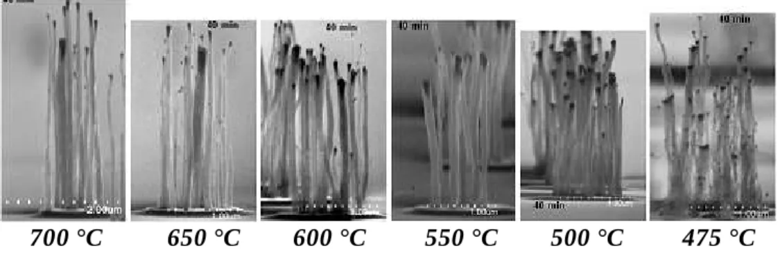 Figure 1.17: Photos prises au microscope électronique permettant de comparer les nanotubes de  carbone selon la température de croissance