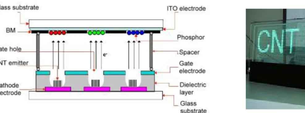 Figure 1.19: Schéma d'une source de rayons X composée d'une cathode à base de nanotube de  carbone [34] et imageries par rayons X d'un doigt et de dents (2008) [35]