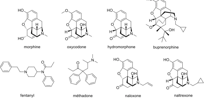Figure 12. Quelques opioïdes forts. 