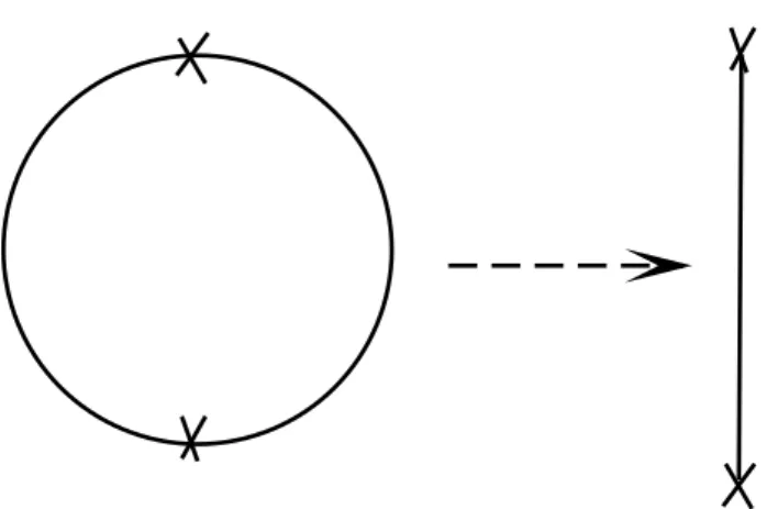 Fig. 2.5  Schéma descriptif de l'orbifold Z 2