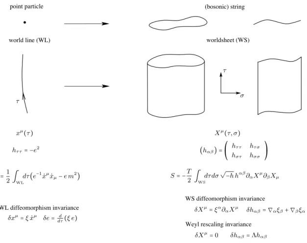 Figure 2.1: From scalar particle to bosonic string. Here µ labels spacetime dimension, α β label the worldsheet dimensions; τ is the propertime of the world line and the worldsheet, and σ the spatial coordinate of the worldsheet; h τ τ = −e 2 is the world 