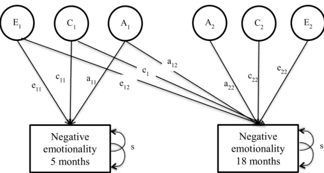 Fig 3. Theoretical path diagram: Biometric Cholesky decomposition. Persistence effects are denoted by the subscript