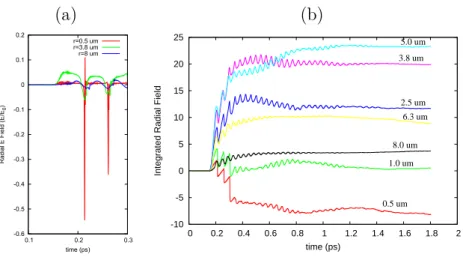 Figure 2.20: Temporal evolution of radial electric ﬁeld and its integrated value at diﬀerent radii about the laser propagation axis.