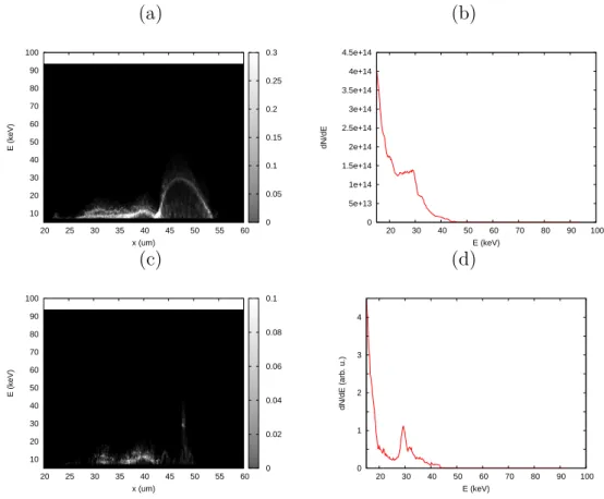 Figure 2.21: Ion spectrum detection depending on the angle of collection. All angles collected: (a) phase space (energy versus longitudinal position) and (b) spectrum