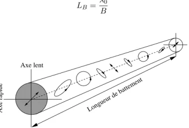 Figure I.18: Évolution de la polarisation d’une onde, injectée à 45 o des axes propres dans une