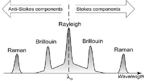 Figure I.29: Spectre de rétro-diffusion par la silice traversée par une onde de longueur d’onde λ 0