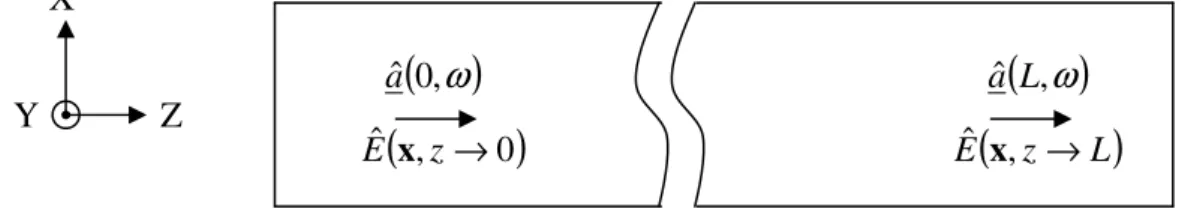 Figure 3.4 – Représentation schématique des opérateurs d’entrée et de sortie 