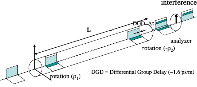 Figure  2-6: Modèle de la conversion FM-AM dans les fibres PM 