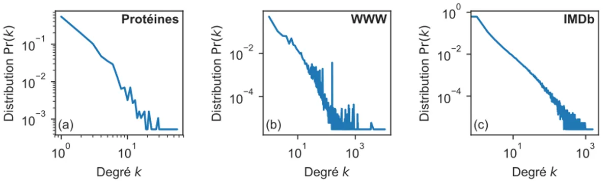 Figure 1.1 – Trois exemples de réseaux invariants d’échelle : (a) réseaux des interactions entre les