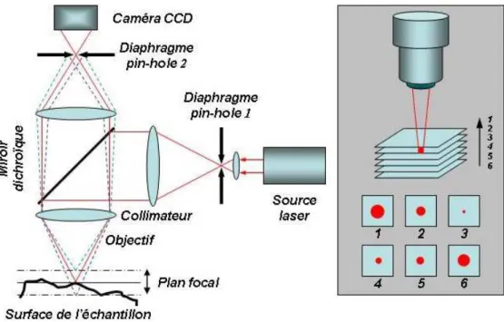 Fig. 1.7 – Le principe de mesure par sections optiques r´ealis´e dans le microscope confocal.