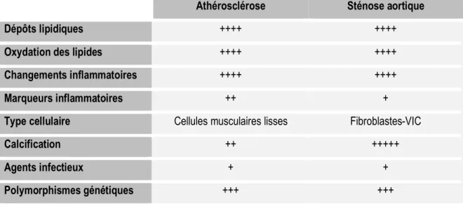 Table 3. Comparaison des caractéristiques de l'athérosclérose et de la sténose aortique, adapté de  (299)