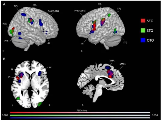 Figure  5.  Activation  likelihood  clusters  for  pain  empathy  experiments  using  SS  pain 