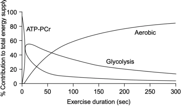 Figure 6. The three energy systems and their contribution of total energy supply during any duration of  maximal exercise (Gastin 2001)