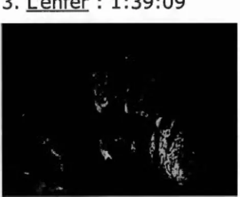Figure  3.  «  L'enfer»,  capture d'écran  d'Awara  (1951). 