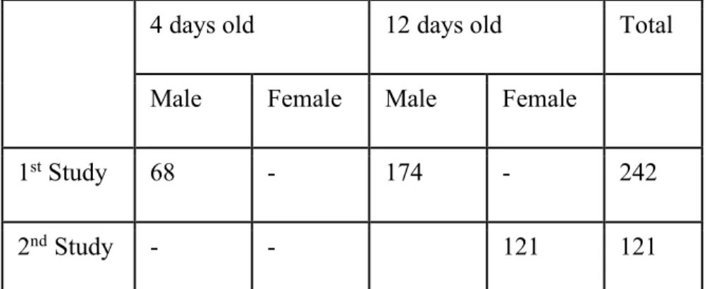Table 1. Number of animals used in each study  F.1 Neonatal gavage with water or caffeine  