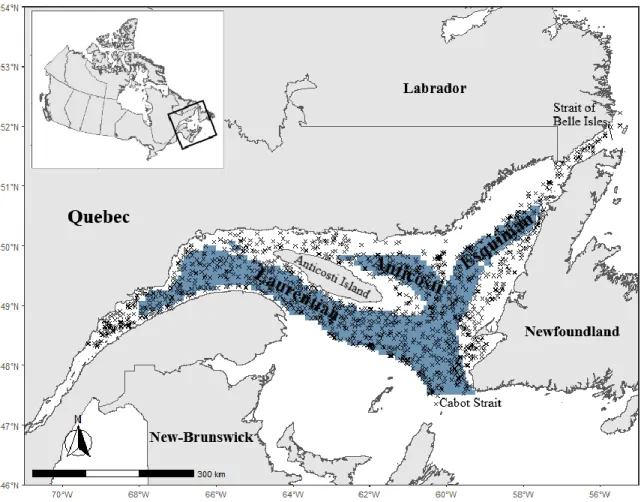 Figure 2. Location of sampling sites for years 2011 to 2018 covering the Estuary and Gulf  of St
