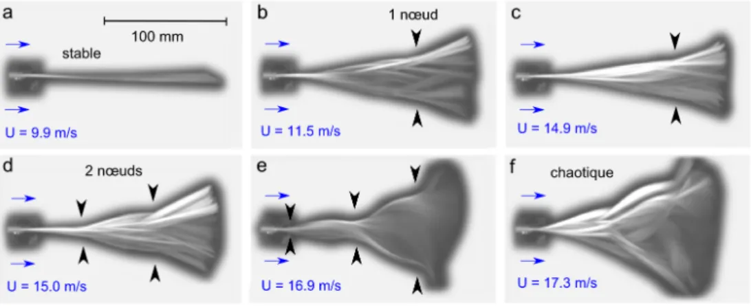 Figure 1.10 – Évolution de la superposition des déformées avec la vitesse du vent U . Le drapeau est en papier 120 g/m 2 (nommé Drapeau 1 par la suite)