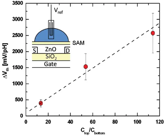 Figure 2. 7 Sensitivity scaling with capacitance ratio and schematics of the dual gate ISFET [76] 