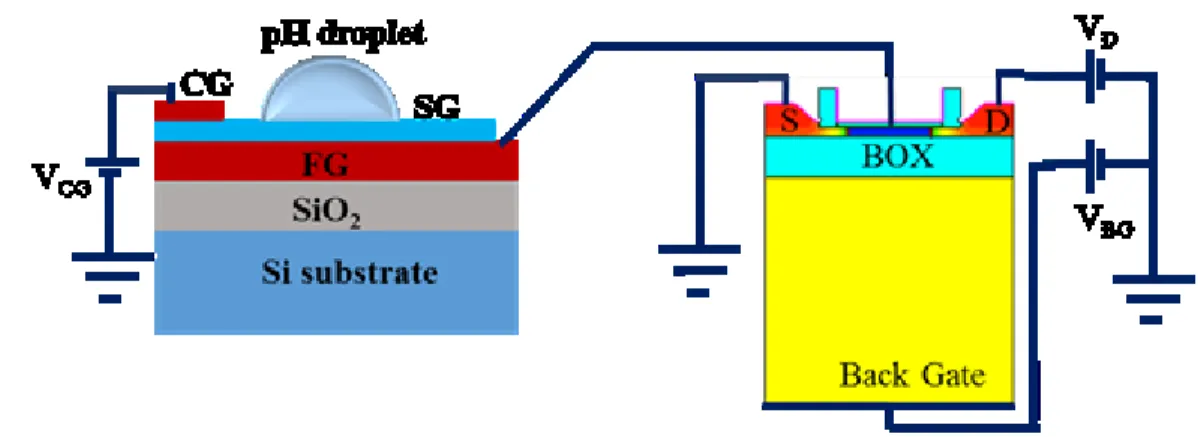 Figure 4. 2 Schematic diagram of the proof of concept extended gate pH sensor