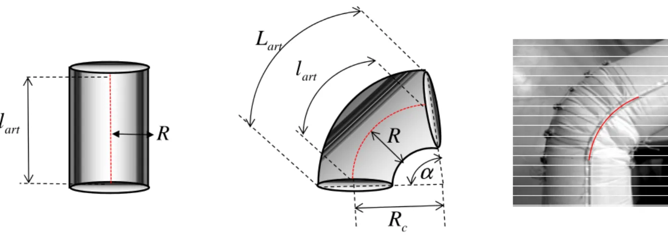 Fig. II-2 : Géométrie d’un cylindre et d’une portion de tore 