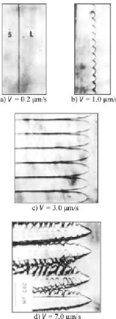 Figure 1.4: The change of the morphology with increasing velocity for a directionally solidified transparent organic alloy (pivalic acid-0.076% ethanol) with a temperature gradient of 2.98 K/mm (adapted from [2]); (a) planar S-L interface, (b)unstable inte