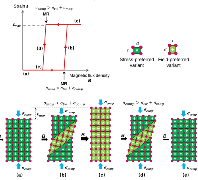 Figure 1.5 Schematic of magneto-mechanical loading-induced reversible martensite reorientation.