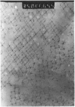 Figure 13: transmission electron microscope image of a dense latex  film  displaying  a  foam  structure  after  water  (the  solvent)  was  removed