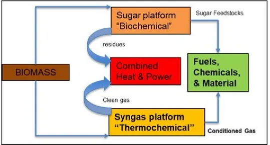 Figure 1.1- Main pathways for the conversion of biomass into heat,  power, fuels and/or chemicals 