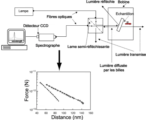 Fig. 1.12 – Montage et principe de la MCT (Magnetic Chaining Technique) : la lumi`ere ´emise par une lampe ` a vapeur de x´enon est achemin´ee vers l’´echantillon via une fibre optique