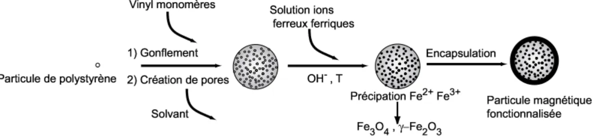 Fig. 1.24 – Processus d’obtention de latex poreux magn´etiques. Proc´ed´e Dynal.