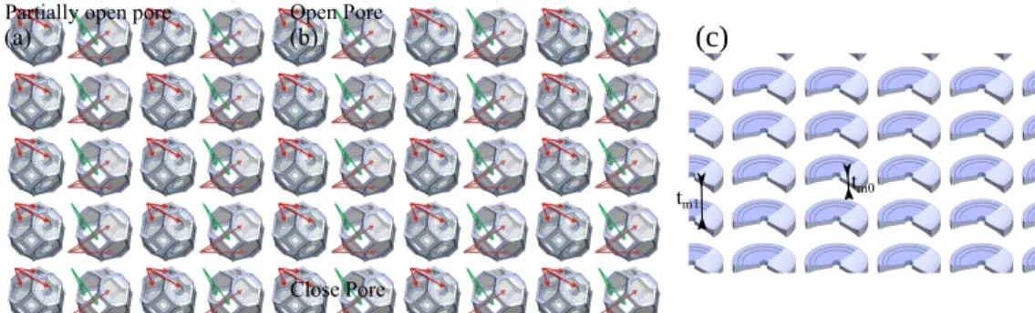 Figure 3.3 Methods used to create different reticulation rate. (a) Removing a fraction of the surface of all membranes [43]