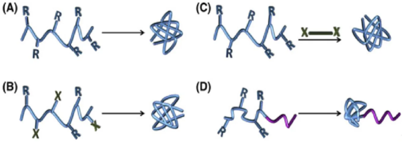 Figure 2. Schematic representation of the four strategies utilized for the synthesis of SCNPs: 