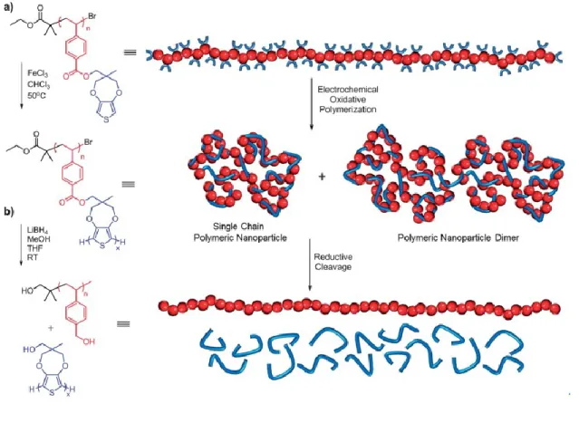 Figure 3. Synthetic route and graphical representation of (a) the oxidative polymerization of 