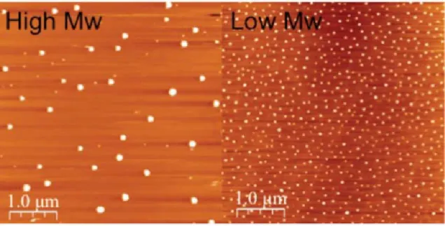 Figure 11. AFM images of SCNPs display the relationship between molecular weight and 